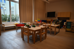 smz_image_2025-01-15_11-30-26-562