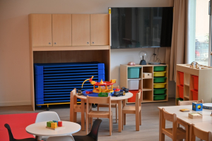 smz_image_2025-01-15_11-30-29-693