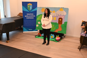 smz_image_2025-01-15_11-31-12-591