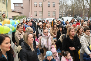 smz_image_2025-01-15_11-31-16-924