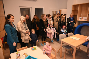 smz_image_2025-01-15_11-31-22-784