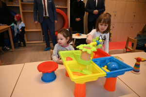 smz_image_2025-01-15_11-31-23-666