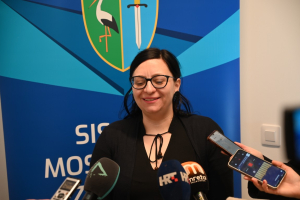 smz_image_2025-01-15_11-31-49-528