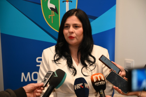 smz_image_2025-01-15_11-31-49-846