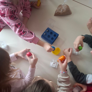 sijanje_psenice00001