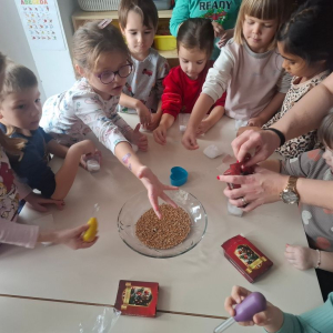 sijanje_psenice00002